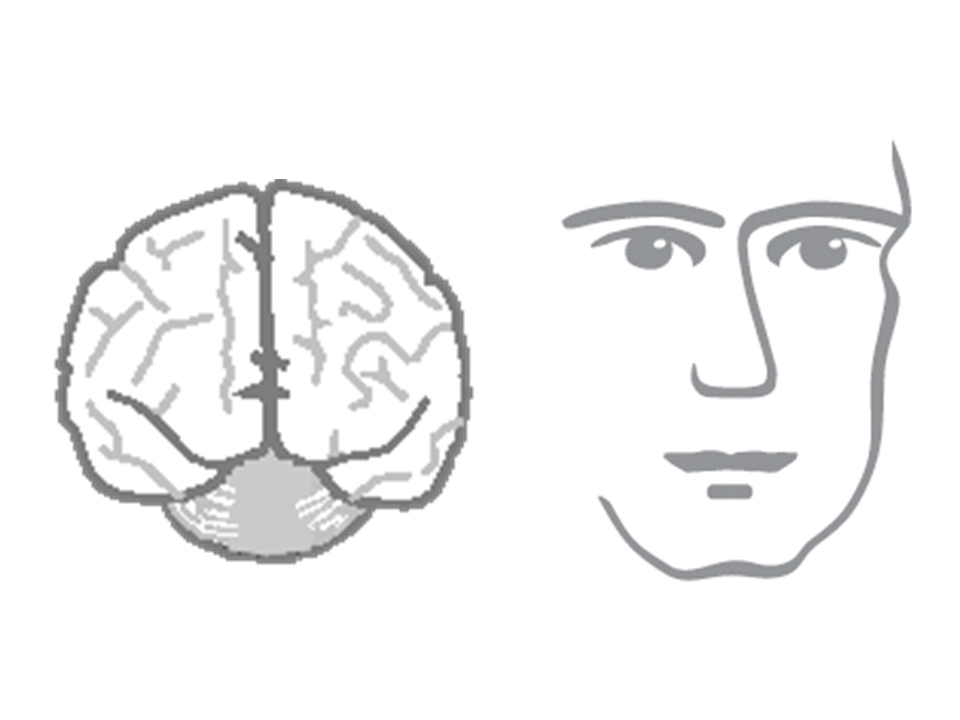 Medical Advisor - das unsichtbare Gehirn und das menschliche Gesicht
