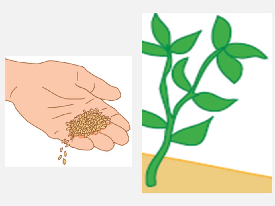 Key-Account-Manager-Wachstum Key Account Manager: Zeit zum Wachstum