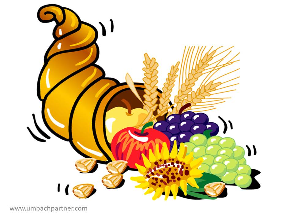 Reichhaltiges-Informations-Angebot Reichhaltiges-Informations-Angebot