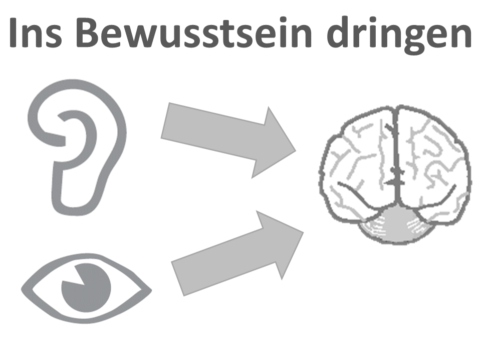 Selektive Kenntnisnahme Selektive Kenntnisnahme