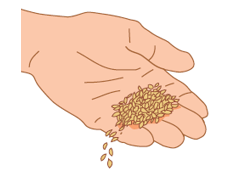 Die Spreu vom Weizen trennen Die Spreu vom Weizen trennen