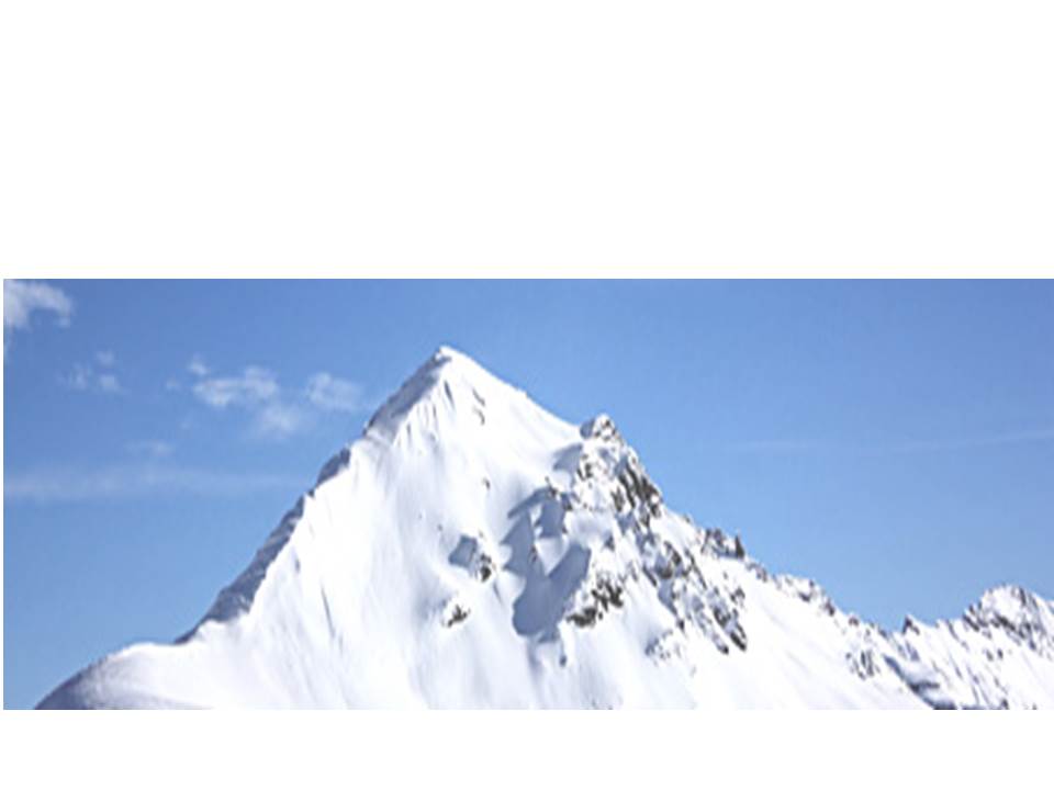 Der Weg zur Spitze Tipps-Tools-Tricks